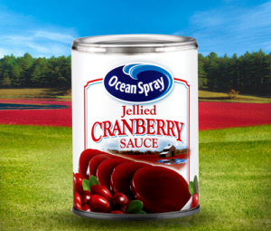 Jellied-Cranberry-Sauce-6533